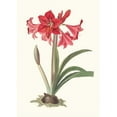 thumbnail image 2 of Priscilla Susan Bury 11x14 Gold Ornate Wood Frame and Double Matted Museum Art Print Titled - Amaryllis Johnson. (1834), 2 of 4