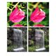 thumbnail image 2 of SUNNYLIFE MCUV+ND8+ND16+ND32 Filter Drone Filter, 2 of 5