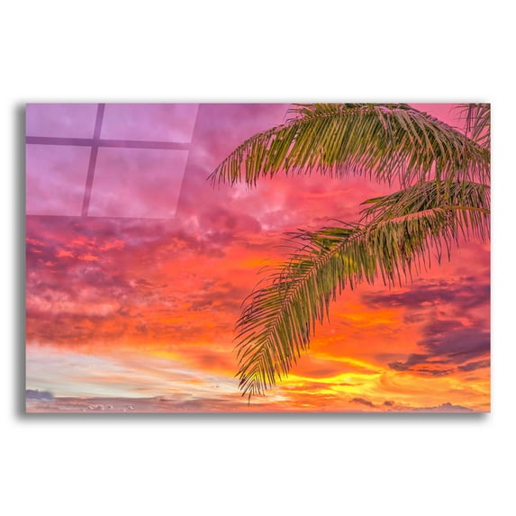Epic Art 'Tropical Treat' by Mark A Paulda, Acrylic Glass Wall Art, 24"x16"