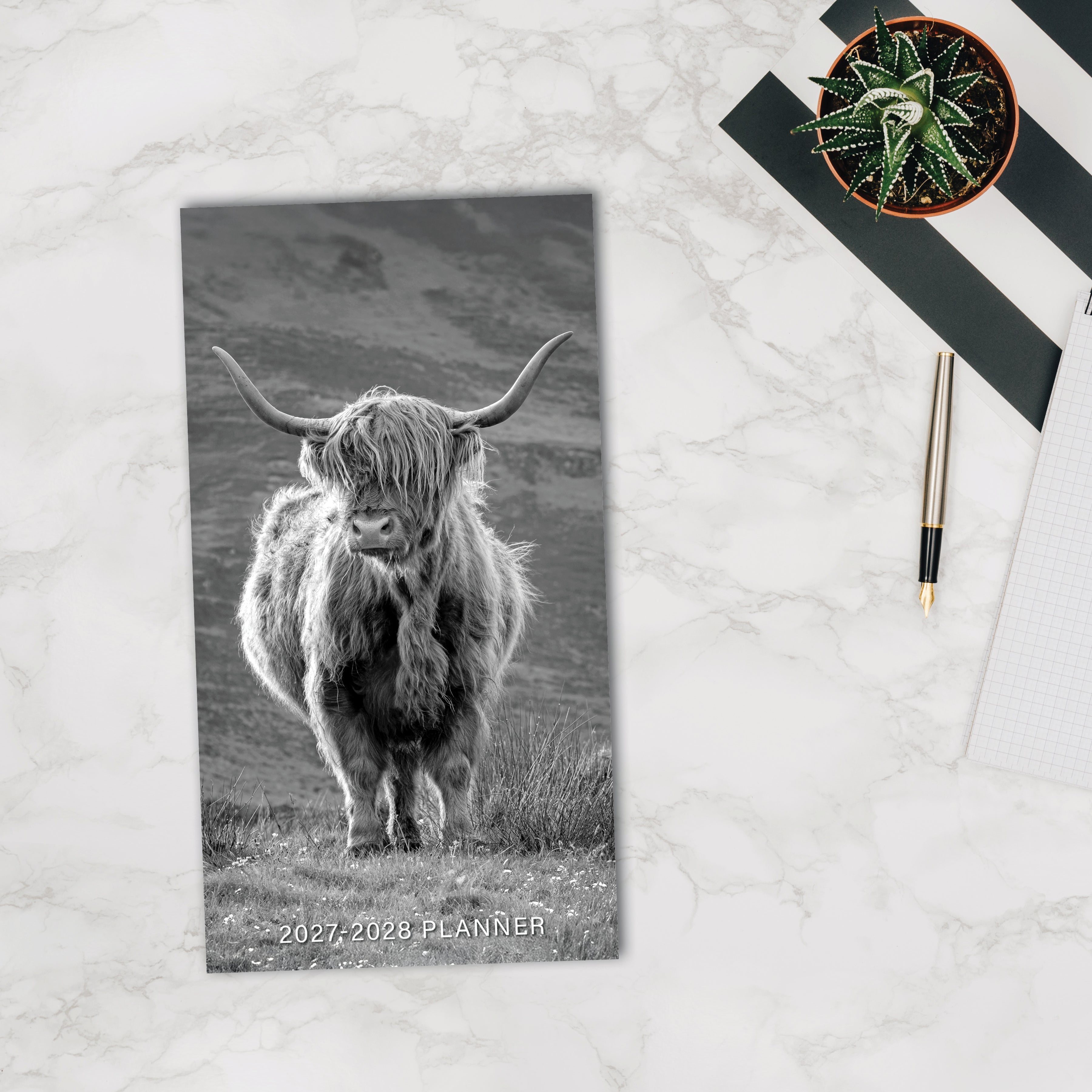 Willow Creek Press Highland Cows 2-Year 2027-28 3.5" x 6.5" Monthly Pocket Planner (66744)