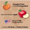 thumbnail image 4 of Emerald Pet Pumpkin Harvest Oven Baked Dog Treats with Apple, 4 of 7