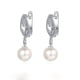 thumbnail image 2 of Pendientes para Mujer, Regalos para Mujer Pendientes Con Perlas Y Lleno De Circonio Temperamento Pendientes De Borlas Para Mujer unos pendientes, 2 of 5
