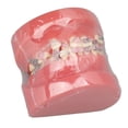 thumbnail image 3 of Modelo Dental de Ortodoncia NikouMX Resina, 3 of 8