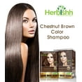 thumbnail image 5 of Herbishh Hair Color Shampoo for Gray Hair, Men & Women, Travel Size, 10+1 Pack (Chestnut Brown 30 ml), 5 of 10