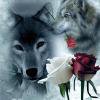 5D DIY diamante pintura lobo rosa completo redondo taladro mosaico imagen Kit pared arte FLhrweasw Nuevo