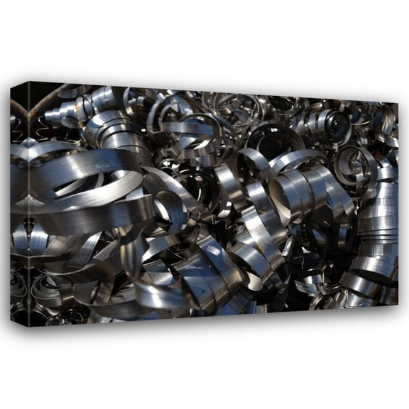 Brian Moore 24x17 Gallery Wrapped Canvas Wall Art Titled - Metal Coils II