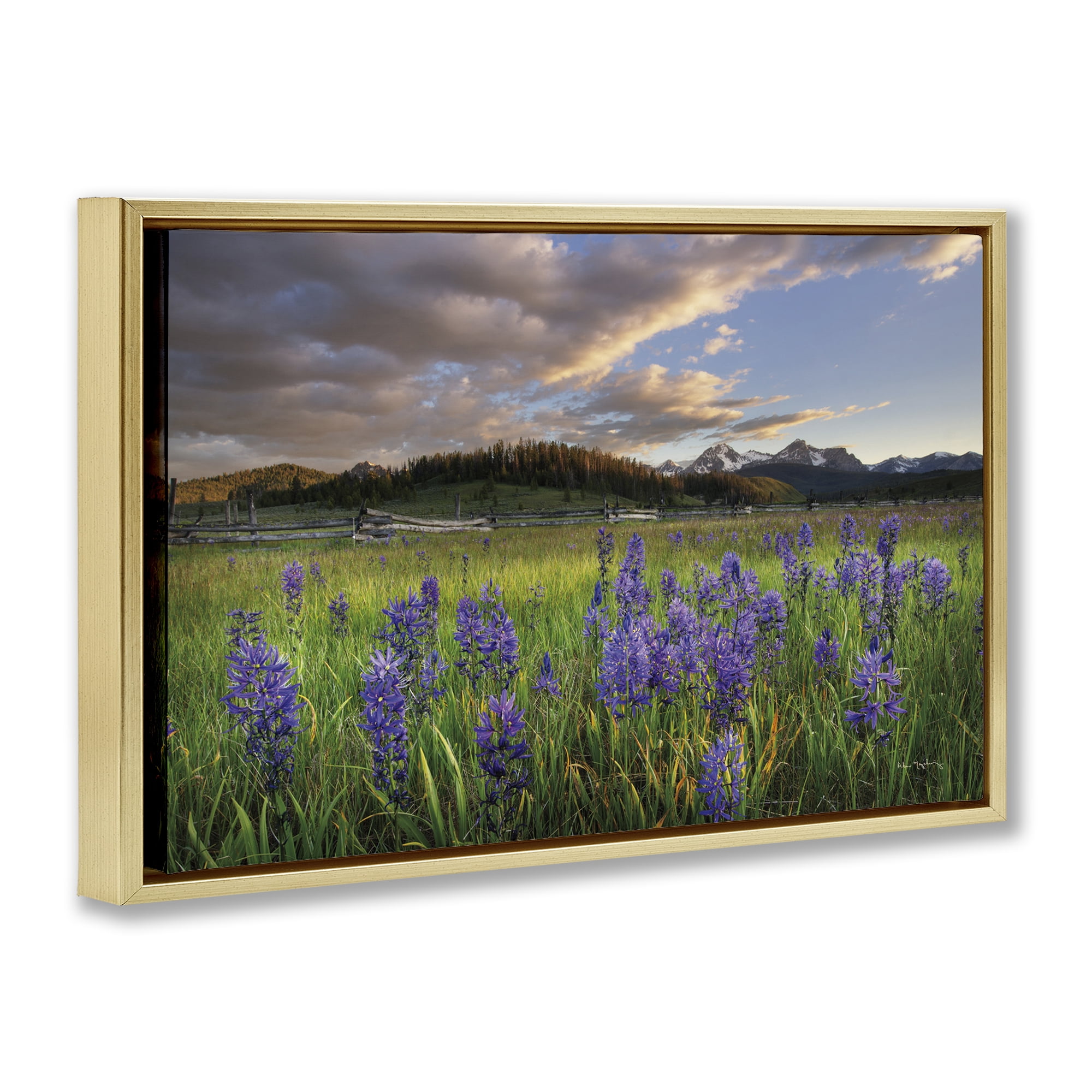 Stupell Industries Lavender Bloom Meadows Landscape & Nature Photography Gold Floater Framed Canvas Art Print Wall Art, 25 x 17
