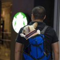 thumbnail image 3 of Light Weight Pet Carrier Backpack For Small And Medium Dogs, Veterinarian Approved Safe Bag For Travel - Easy Take Space Saving - Black M, 3 of 5