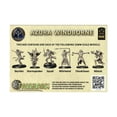 thumbnail image 2 of DGS Games Azura Windborne Starter Box New, 2 of 2