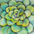 thumbnail image 3 of Plante Succulente Aquarelle - Toile 36"x36 Pouces - Impression à la Demande, 3 of 5