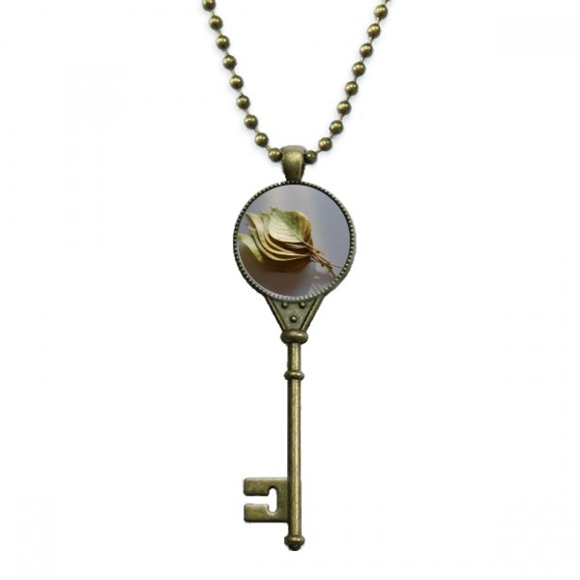Simpol Picture Nature Key Necklace Pendant Tray Embellished Chain
