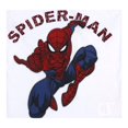 thumbnail image 4 of Conjunto Marvel Spiderman Talla 10 Estampado Blanco con Negro, 4 of 4
