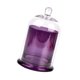 thumbnail image 1 of Candelero de Cúpula de Cristal Cloche, Cúpula de Cristal con Base, Cubierta de Campana de Cristal, Tarro de Vela, Taza para Dulces, Plantas, Exhibició Violeta, 1 of 8