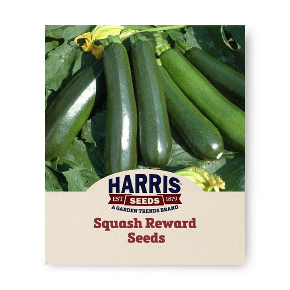 Harris Seeds Squash Reward F1, Treated High-Yield Zucchini Variety, 25 Count