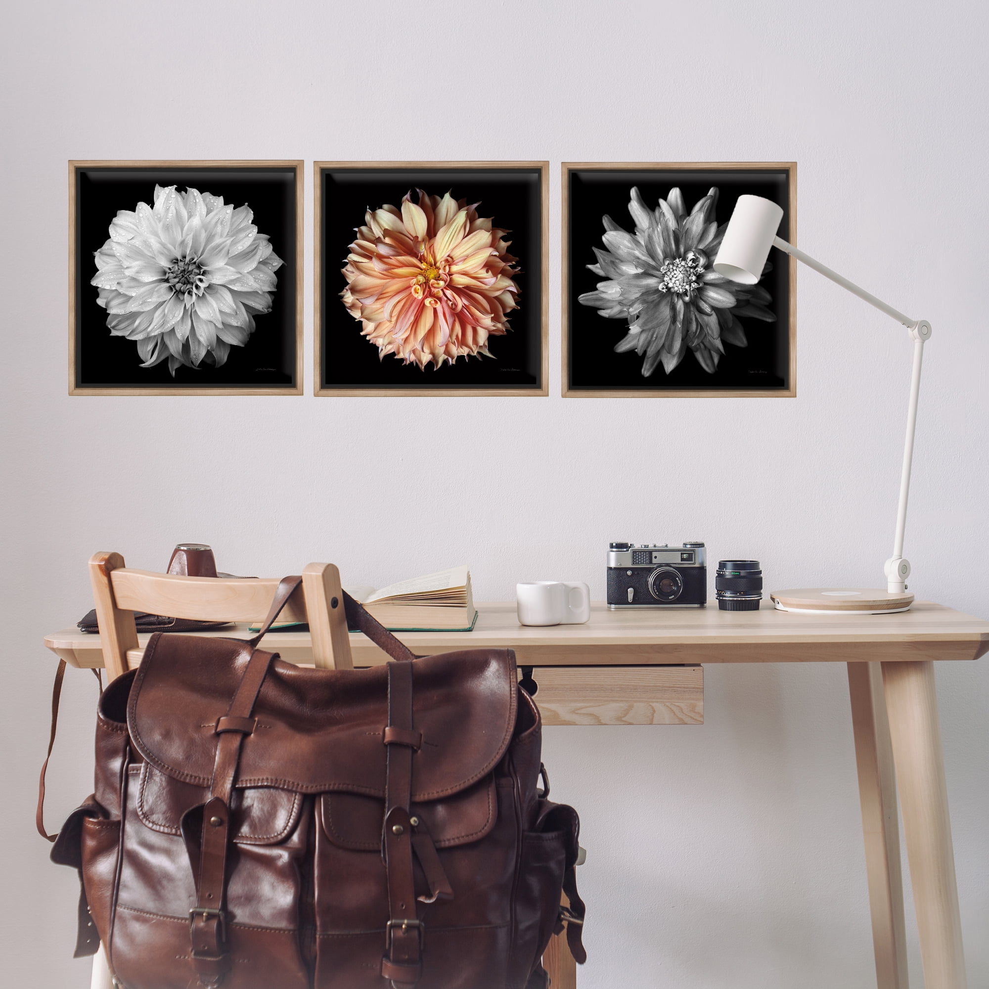 Stupell Industries Detailed Dahlia Photography Plants & Flowers Photography Brown Floater Framed Canvas Art Print Wall Art, 18 x 18, Set of 3