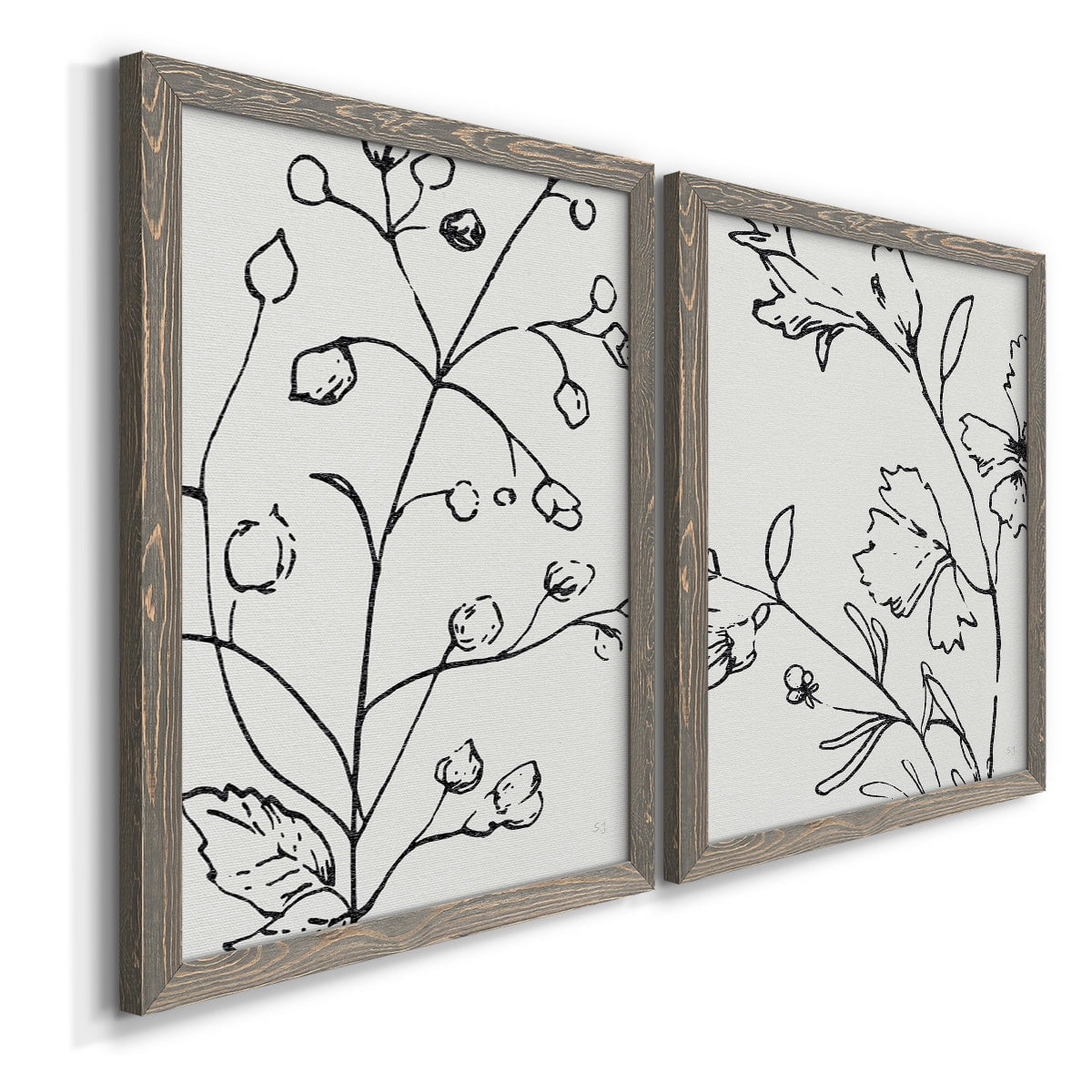 Botanical Sketch I - Premium Framed Canvas 2 Piece Set - Ready to Hang