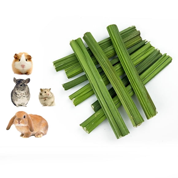 Molar Chew Toy Papaya Stem, Chewing Rod Cleaning Toothbrush Snacks Chew Rod For Rabbit For Bunny Chinchillas Pet Supplies Rabbits Colco tallo de papaya