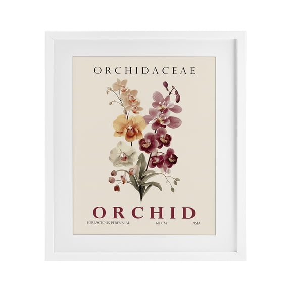 Stupell Industries Natural Orchid Bundle White Framed Print Under Glass, design by Christopher Giampietro