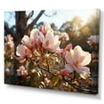 thumbnail image 2 of Designart "White Pink Magnolias landscape Vibrant II" Floral Wall Art Living Room, 2 of 5