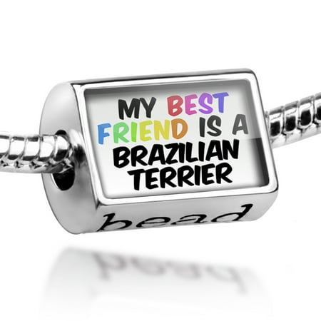 Bead My best Friend a Brazilian Terrier Dog from Brazil Charm Fits All European
