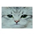 thumbnail image 2 of Animal Cutting Board, Cat Print Kitten Kitty Face Look Closeup Portrait Digital Photography Domestic Pet, Decorative Tempered Glass Cutting and Serving Board, Large Size, Multicolor, by Ambesonne, 2 of 5