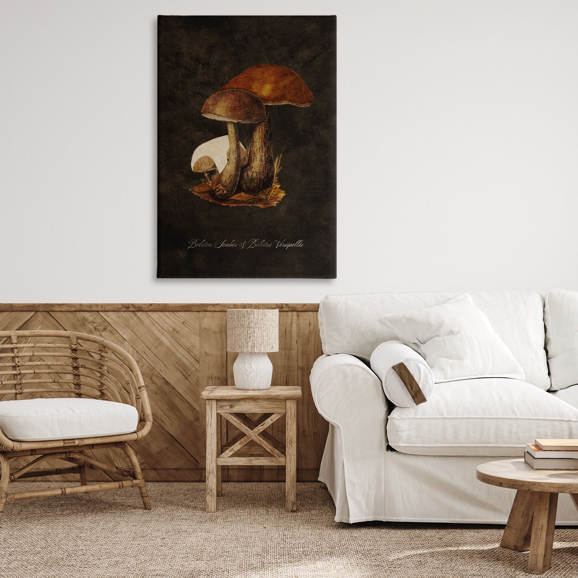 Stupell Industries Mushroom Types Study Plants & Flowers Painting Wrapped Canvas Art Print Wall Art, 30 x 45