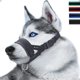 thumbnail image 1 of Dlm Head Strap Dog Muzzle Prevent From Taking Off By Paws For Small, Medium And Large Dogs S Black, 1 of 4