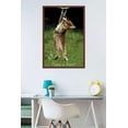 thumbnail image 2 of Famous Kitten Hang In There Poster Wall Poster, 22.375" x 34", Framed, 2 of 2