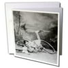 3dRose Vintage Stereoview Card Lady in a Biking Accident Circa 1890s - Greeting Card, 6 by 6-inch