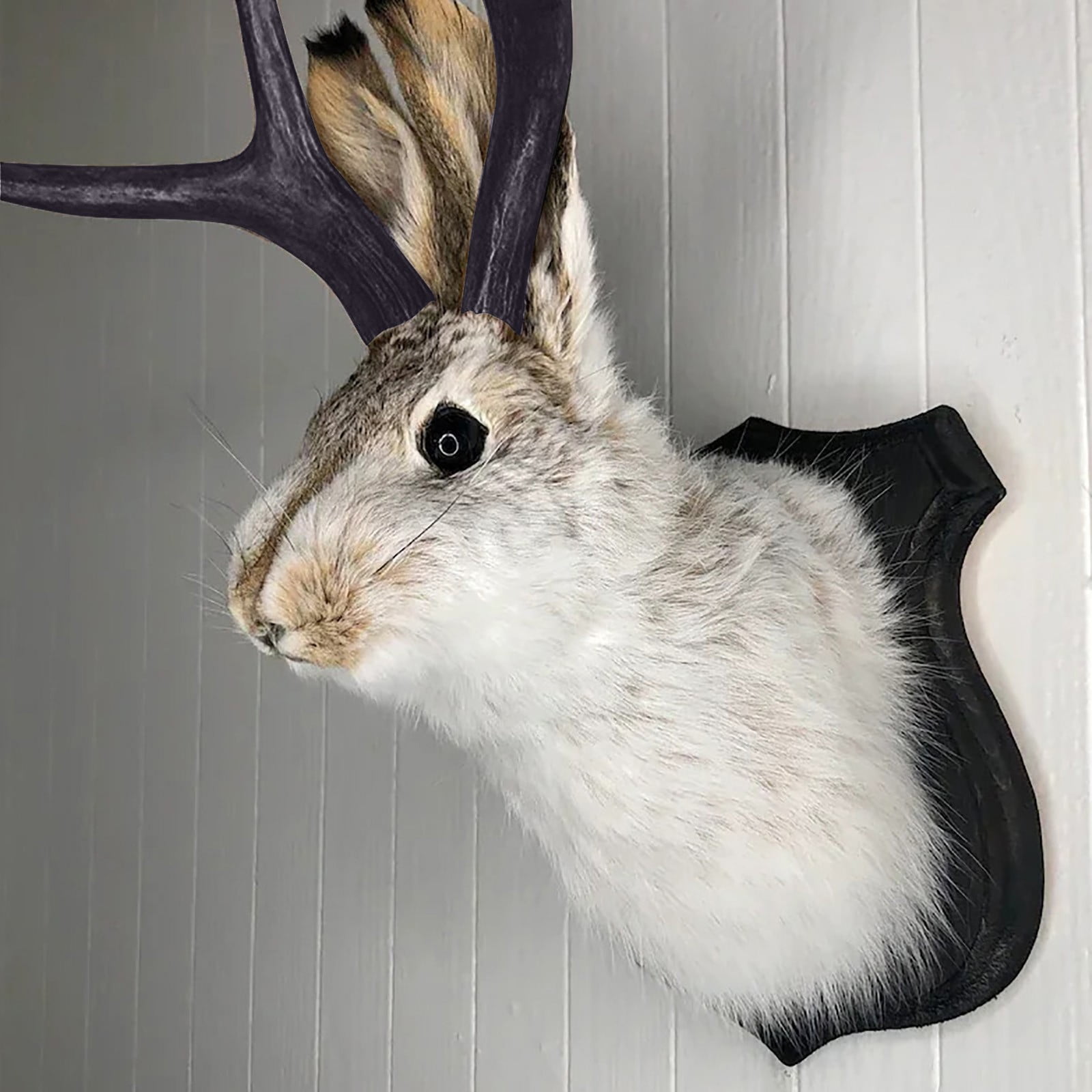 LINMOUA Taxidermy Head Wall Decor Deer Head Wall Mount Deer Head Wall Mount for Home Wall Decoration Rabbit Ornaments Wall Decorations Walmart
