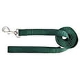 thumbnail image 3 of Hamilton 1-Inch Single Thick Nylon Lead with Swivel Snap , 4 feet, Dark Green, 3 of 3