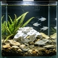 thumbnail image 4 of Cueva decorativa para acuario con escondite para peces | Túnel realista para gambas | Refugio para peces pequeños y gambas enanas | Zona de alimentación y descanso para el hábitat del acuario, 4 of 5