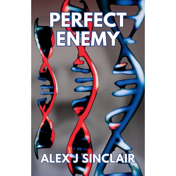 Pre-Owned Perfect Enemy (Paperback) 9659310102 9789659310104