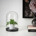 Plastic High Cloche Dome Display Case Bell Jar with Base for DIY