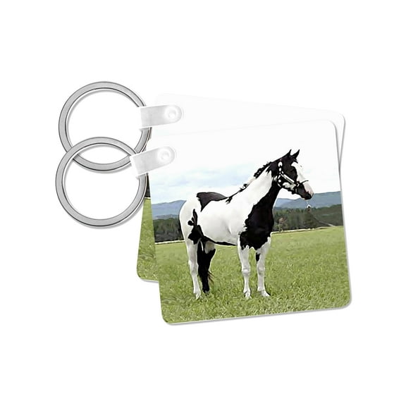 3dRose, Paint Horse, set of 2 Key Chains