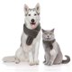 thumbnail image 4 of Bufanda tejida para perros navideños con pompón blanco, accesorios cálidos para mascotas para vacaciones de invierno, 4 of 5