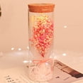 thumbnail image 4 of Lampe Bouteille Gypsophile Éternelle avec Télécommande Veilleuse LED Cadeau de Souhait, 4 of 5
