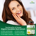 thumbnail image 4 of Zazzee USDA Organic Dandelion Root 10:1 Extract 3000 mg Strength – 120 Vegan Capsules – Certified Organic, Highly Concentrated Extract – Supports Liver & Digestive Health – Vegan • Non-GMO • Made in, 4 of 11