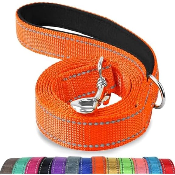 Eryueer Double-Sided Reflective Dog Leash, 6 FT/5FT/4 FT, Padded Handle Nylon Dogs Leashes for Walking, Training Lead for Small & Medium Dogs, Orange, 5FT