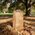 thumbnail image 6 of 10Pieces Extra Thick Friendly Craft Paper Leaf Bags With Large Capacity Lawn Bags For Yard Waste And Leaves Storage, 6 of 8