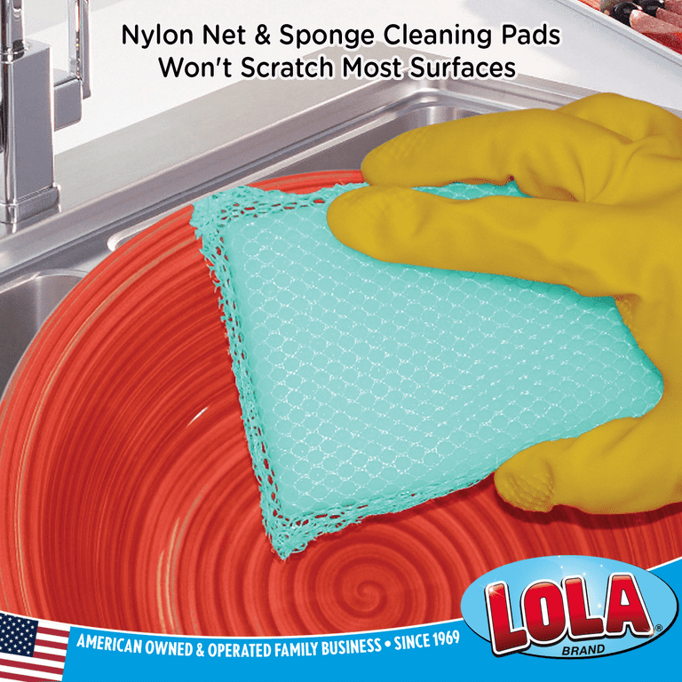 Nylon Net & Sponge Cleaning Pad, Scrubber