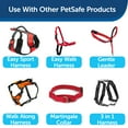 thumbnail image 6 of PetSafe Nylon Dog Leash, Strong, Durable, Traditional Style with Bolt Snap, 3/8" x 6' Red, 6 of 6