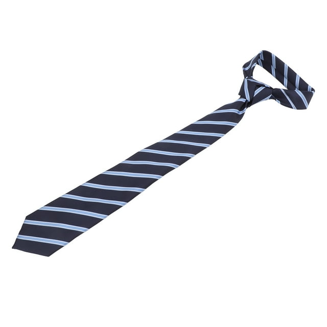 Cravate Rayée, Cravates pour Hommes Cravate Classique Bleue pour Homme Cravate de Cou Conçue pour l'Avenir