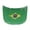 Brazilian Flag Green, variant on KUIFORTI Jamaica Flag for Car Hood Cover Protector Washable Fbric Hood Cover Engine Flag Car Bonnet Banner Car Flags, Can be Washed Patriot Gifts