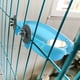 thumbnail image 4 of Bañera para loros, Bañera para loros con espejo para mascotas, accesorios para jaulas de pájaros, espejo de baño, caja de ducha, jaula para pájaros, jaula para pájaros pequeños, juguetes,, 4 of 4