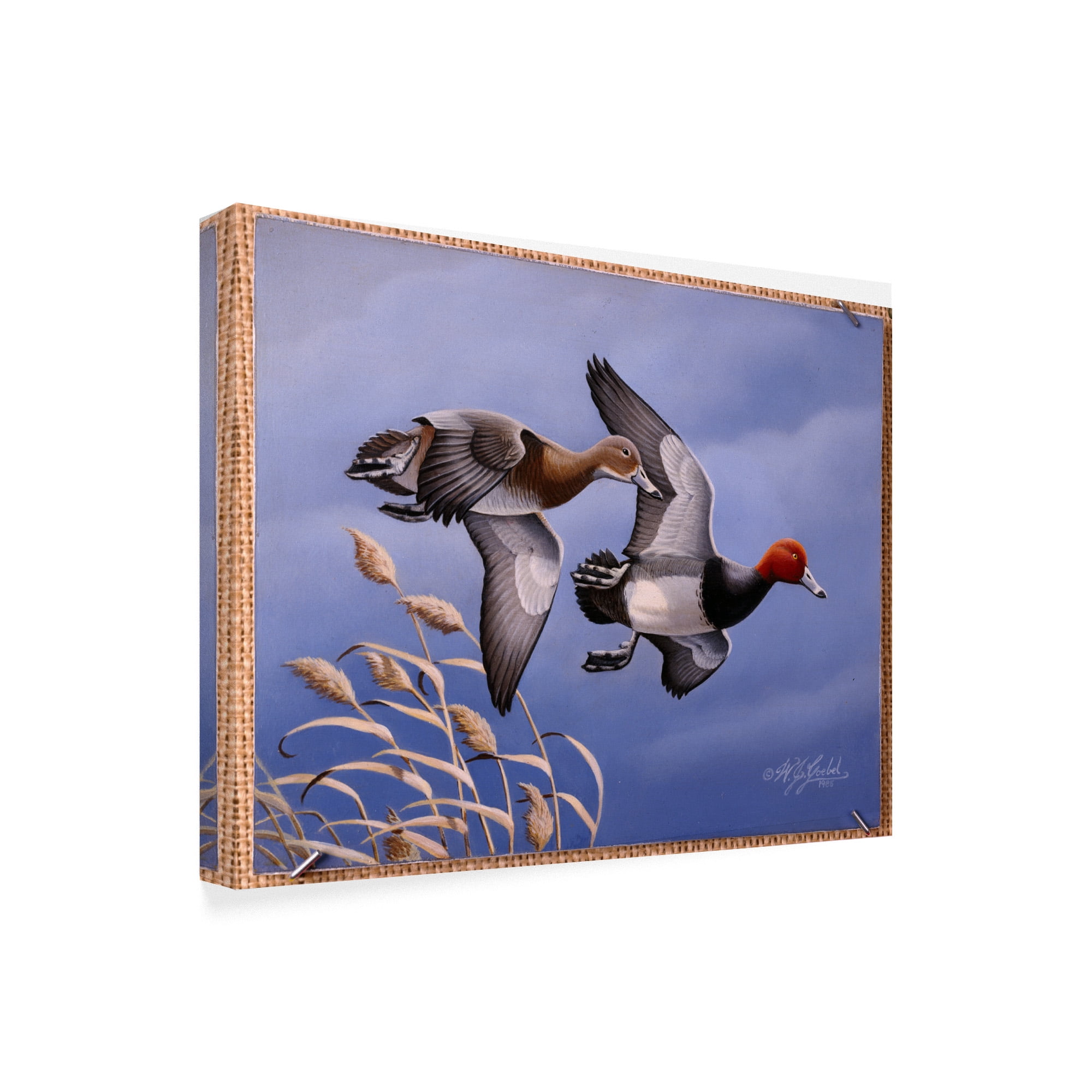 Trademark Fine Art '1986 Redhead Ducks' Canvas Art by Wilhelm Goebel