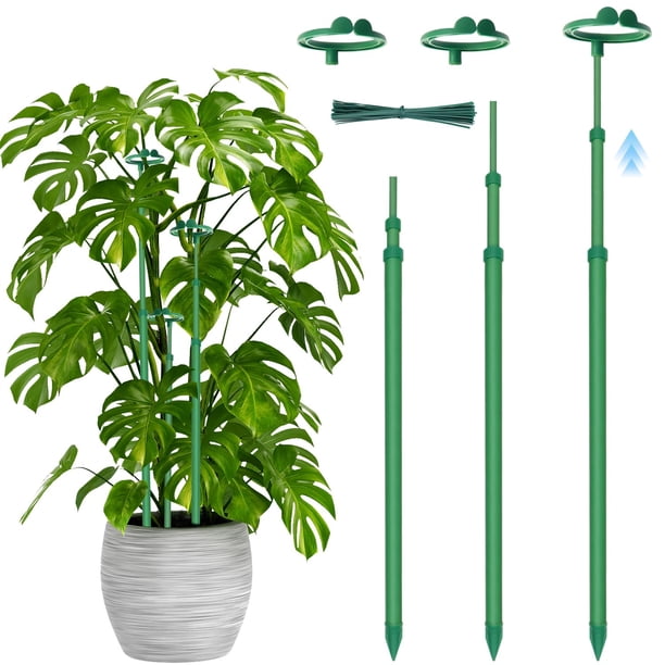 Set De 3 Soportes Para Muñecas De PVC | Tamaños Ajustables De 30 A 42 Cm | Base Antideslizante Estable | Para Exhibición Y Almacenamiento