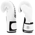 thumbnail image 5 of Guantes de boxeo Fairtex BGV14 de microfibra para muay thai para niños y adultos, 5 of 5