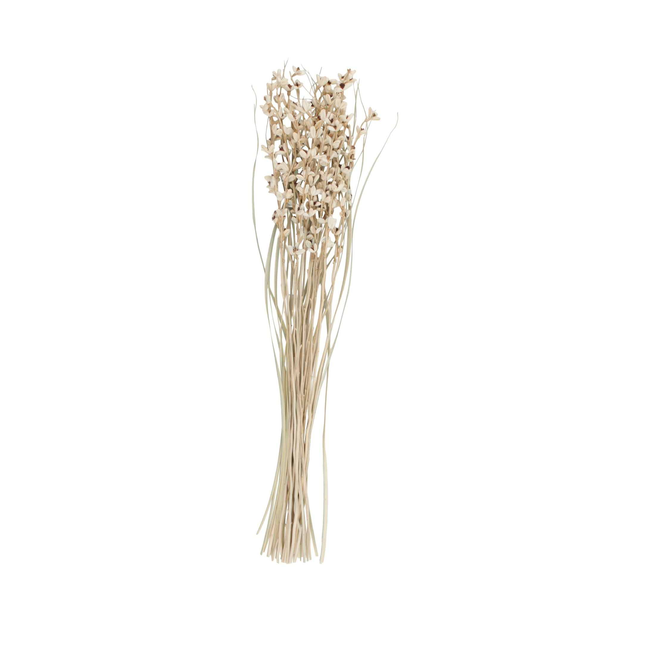 41" Tall Floral Bouquet Dried Plant Natural Foliage Branch Bouquet with Brown Stems, by DecMode
