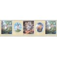 thumbnail image 1 of Kids Wallpaper Border B103422, 1 of 1